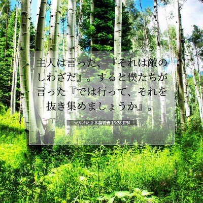 Picture 07 - マタイによる福音書 13:28 JPN - 主人は言った、『それは敵のしわざ - Bible Verse Picture