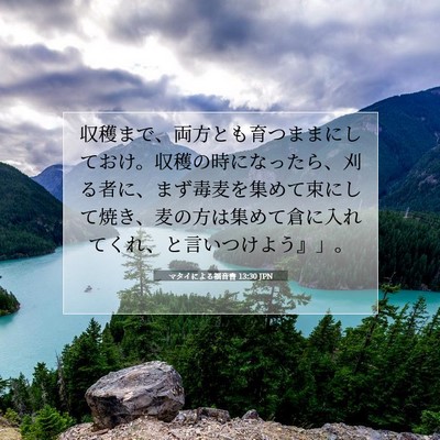 Picture 07 - マタイによる福音書 13:30 JPN - 収穫まで、両方とも育つままにして - Bible Verse Picture