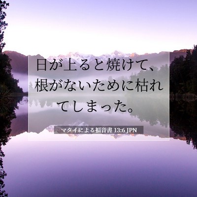 Picture 07 - マタイによる福音書 13:6 JPN - 日が上ると焼けて、根がないために - Bible Verse Picture