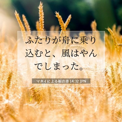 Picture 07 - マタイによる福音書 14:32 JPN - ふたりが舟に乗り込むと、風はやん - Bible Verse Picture