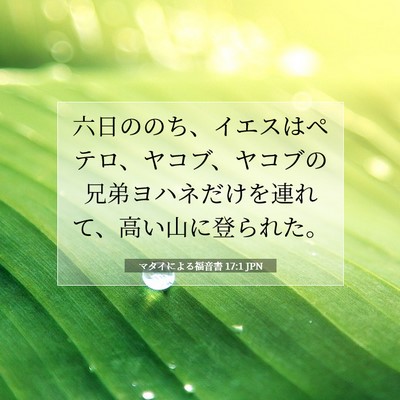 Picture 07 - マタイによる福音書 17:1 JPN - 六日ののち、イエスはペテロ、ヤコ - Bible Verse Picture