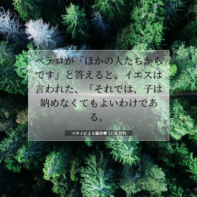 Picture 07 - マタイによる福音書 17:26 JPN - ペテロが「ほかの人たちからです」 - Bible Verse Picture