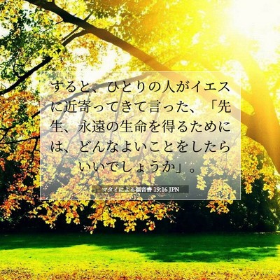 Picture 07 - マタイによる福音書 19:16 JPN - すると、ひとりの人がイエスに近寄 - Bible Verse Picture