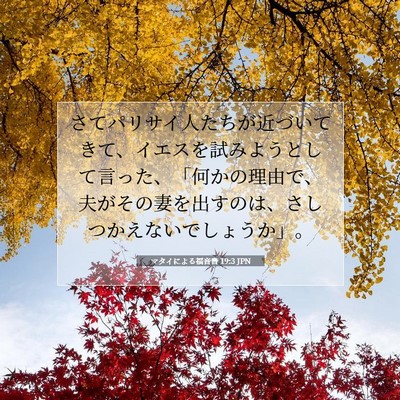 Picture 07 - マタイによる福音書 19:3 JPN - さてパリサイ人たちが近づいてきて - Bible Verse Picture
