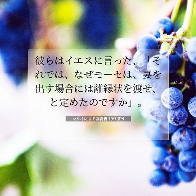 Picture 07 - マタイによる福音書 19:7 JPN - 彼らはイエスに言った、「それでは - Bible Verse Picture
