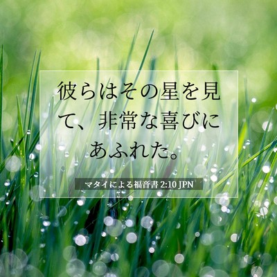 Picture 07 - マタイによる福音書 2:10 JPN - 彼らはその星を見て、非常な喜びに - Bible Verse Picture