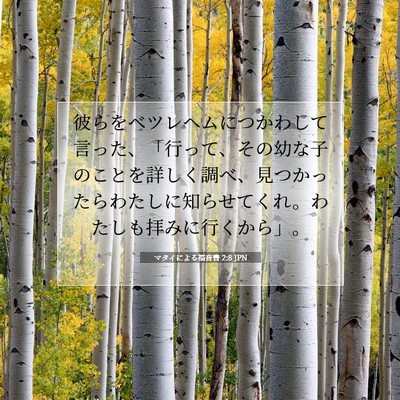 Picture 07 - マタイによる福音書 2:8 JPN - 彼らをベツレヘムにつかわして言っ - Bible Verse Picture