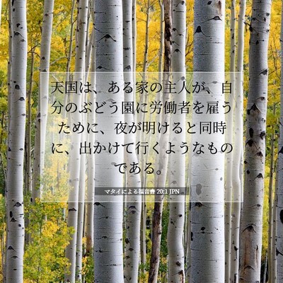 Picture 07 - マタイによる福音書 20:1 JPN - 天国は、ある家の主人が、自分のぶ - Bible Verse Picture
