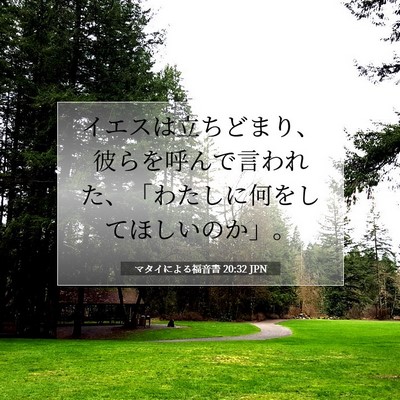 Picture 07 - マタイによる福音書 20:32 JPN - イエスは立ちどまり、彼らを呼んで - Bible Verse Picture