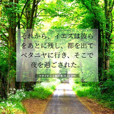 Picture 07 - マタイによる福音書 21:17 JPN - それから、イエスは彼らをあとに残 - Bible Verse Picture