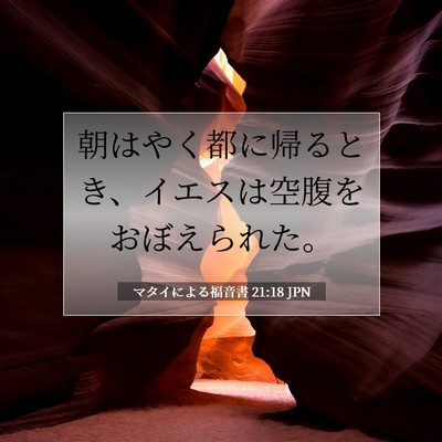 Picture 07 - マタイによる福音書 21:18 JPN - 朝はやく都に帰るとき、イエスは空 - Bible Verse Picture