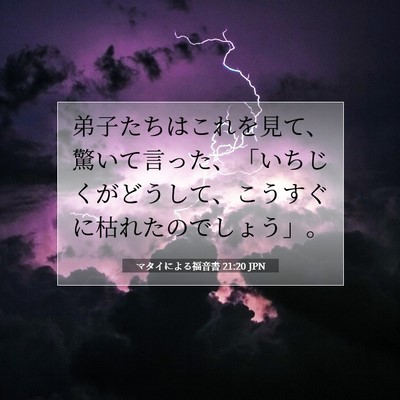 Picture 07 - マタイによる福音書 21:20 JPN - 弟子たちはこれを見て、驚いて言っ - Bible Verse Picture