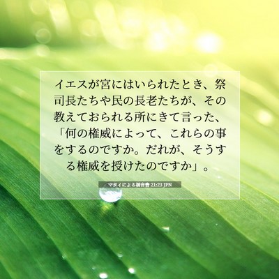 Picture 07 - マタイによる福音書 21:23 JPN - イエスが宮にはいられたとき、祭司 - Bible Verse Picture