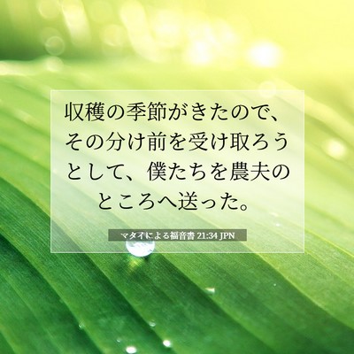 Picture 07 - マタイによる福音書 21:34 JPN - 収穫の季節がきたので、その分け前 - Bible Verse Picture