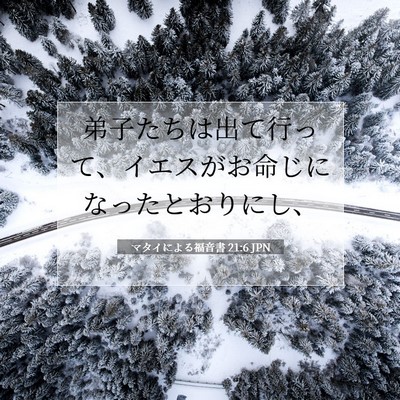 Picture 07 - マタイによる福音書 21:6 JPN - 弟子たちは出て行って、イエスがお - Bible Verse Picture