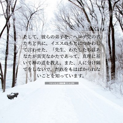 Picture 07 - マタイによる福音書 22:16 JPN - そして、彼らの弟子を、ヘロデ党の - Bible Verse Picture