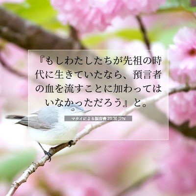 Picture 07 - マタイによる福音書 23:30 JPN - 『もしわたしたちが先祖の時代に生 - Bible Verse Picture