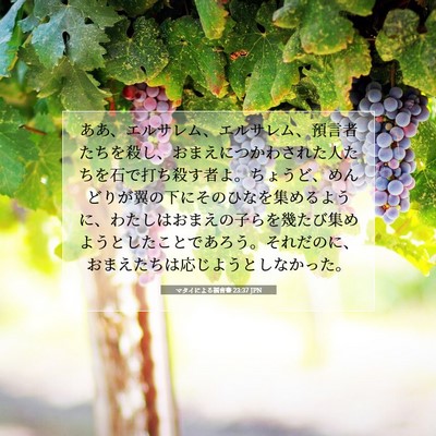 Picture 07 - マタイによる福音書 23:37 JPN - ああ、エルサレム、エルサレム、預 - Bible Verse Picture