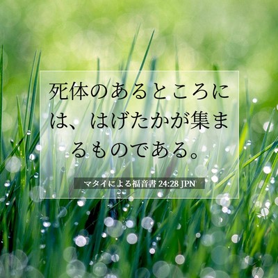 Picture 07 - マタイによる福音書 24:28 JPN - 死体のあるところには、はげたかが - Bible Verse Picture