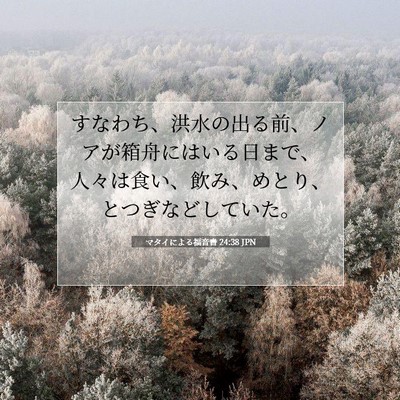 Picture 07 - マタイによる福音書 24:38 JPN - すなわち、洪水の出る前、ノアが箱 - Bible Verse Picture