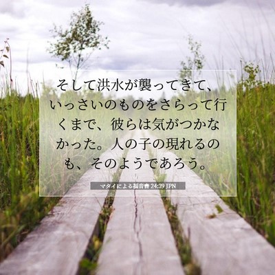 Picture 07 - マタイによる福音書 24:39 JPN - そして洪水が襲ってきて、いっさい - Bible Verse Picture