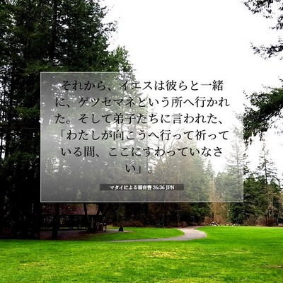 Picture 07 - マタイによる福音書 26:36 JPN - それから、イエスは彼らと一緒に、 - Bible Verse Picture