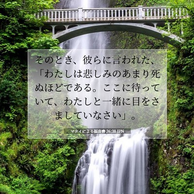 Picture 07 - マタイによる福音書 26:38 JPN - そのとき、彼らに言われた、「わた - Bible Verse Picture