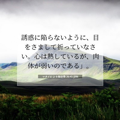 Picture 07 - マタイによる福音書 26:41 JPN - 誘惑に陥らないように、目をさまし - Bible Verse Picture