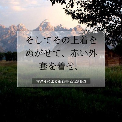 Picture 07 - マタイによる福音書 27:28 JPN - そしてその上着をぬがせて、赤い外 - Bible Verse Picture