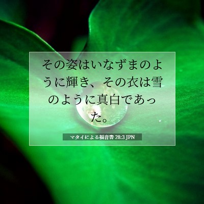Picture 07 - マタイによる福音書 28:3 JPN - その姿はいなずまのように輝き、そ - Bible Verse Picture