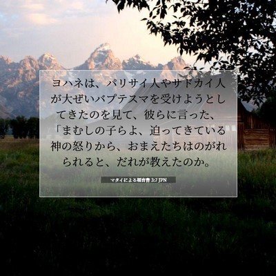 Picture 07 - マタイによる福音書 3:7 JPN - ヨハネは、パリサイ人やサドカイ人 - Bible Verse Picture