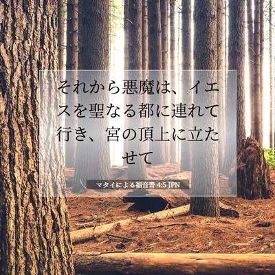 Picture 07 - マタイによる福音書 4:5 JPN - それから悪魔は、イエスを聖なる都 - Bible Verse Picture