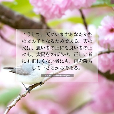 Picture 07 - マタイによる福音書 5:45 JPN - こうして、天にいますあなたがたの - Bible Verse Picture
