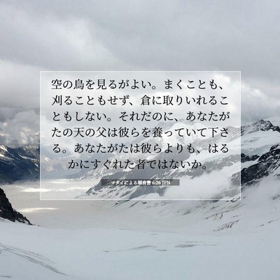 Picture 07 - マタイによる福音書 6:26 JPN - 空の鳥を見るがよい。まくことも、 - Bible Verse Picture