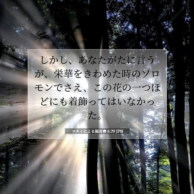 Picture 07 - マタイによる福音書 6:29 JPN - しかし、あなたがたに言うが、栄華 - Bible Verse Picture