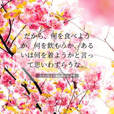 Picture 07 - マタイによる福音書 6:31 JPN - だから、何を食べようか、何を飲も - Bible Verse Picture