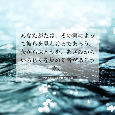 Picture 07 - マタイによる福音書 7:16 JPN - あなたがたは、その実によって彼ら - Bible Verse Picture