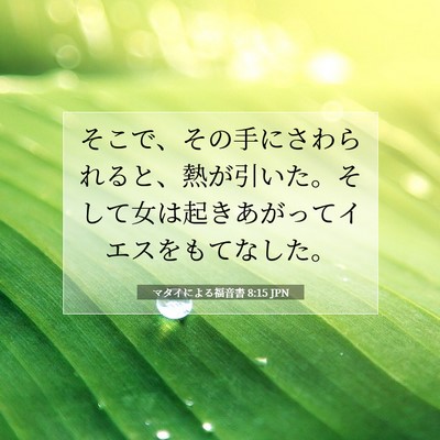 Picture 07 - マタイによる福音書 8:15 JPN - そこで、その手にさわられると、熱 - Bible Verse Picture