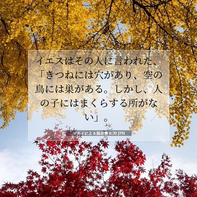 Picture 07 - マタイによる福音書 8:20 JPN - イエスはその人に言われた、「きつ - Bible Verse Picture