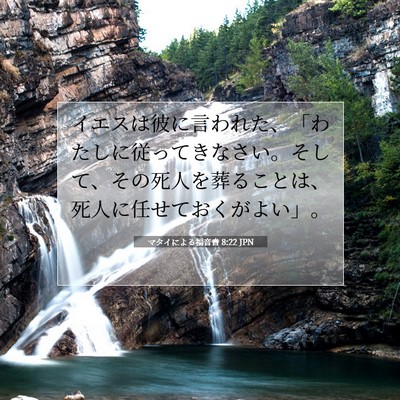 Picture 07 - マタイによる福音書 8:22 JPN - イエスは彼に言われた、「わたしに - Bible Verse Picture