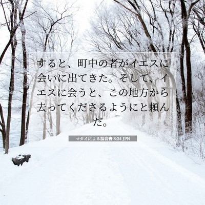 Picture 07 - マタイによる福音書 8:34 JPN - すると、町中の者がイエスに会いに - Bible Verse Picture