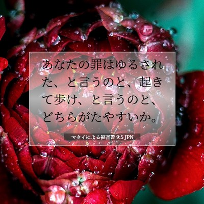 Picture 07 - マタイによる福音書 9:5 JPN - あなたの罪はゆるされた、と言うの - Bible Verse Picture