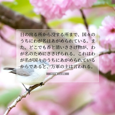 Picture 07 - マラキ書 1:11 JPN - 日の出る所から没する所まで、国々 - Bible Verse Picture