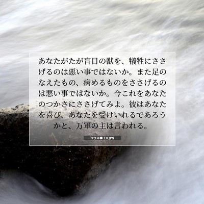 Picture 07 - マラキ書 1:8 JPN - あなたがたが盲目の獣を、犠牲にさ - Bible Verse Picture