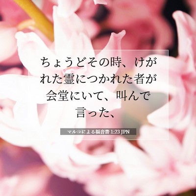 Picture 07 - マルコによる福音書 1:23 JPN - ちょうどその時、けがれた霊につか - Bible Verse Picture