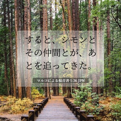 Picture 07 - マルコによる福音書 1:36 JPN - すると、シモンとその仲間とが、あ - Bible Verse Picture