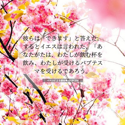 Picture 07 - マルコによる福音書 10:39 JPN - 彼らは「できます」と答えた。する - Bible Verse Picture