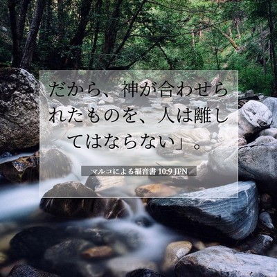 Picture 07 - マルコによる福音書 10:9 JPN - だから、神が合わせられたものを、 - Bible Verse Picture