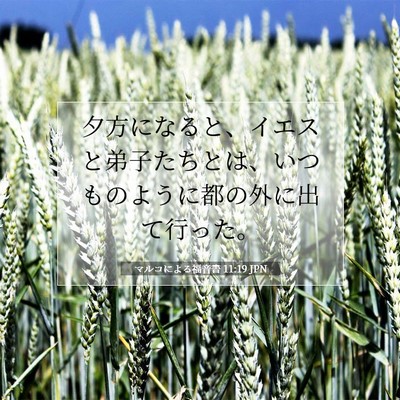 Picture 07 - マルコによる福音書 11:19 JPN - 夕方になると、イエスと弟子たちと - Bible Verse Picture