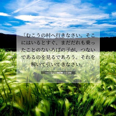 Picture 07 - マルコによる福音書 11:2 JPN - 「むこうの村へ行きなさい。そこに - Bible Verse Picture